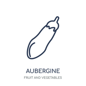茄子图标。茄子线性符号设计从水果和蔬菜收集。简单的大纲元素向量例证在白色背景