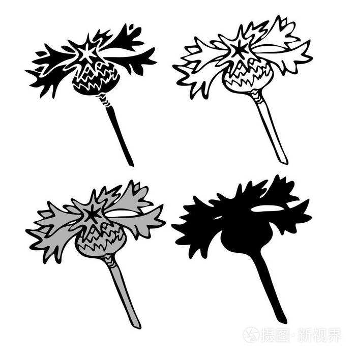 蓟花以黑白相间的风格可用于印纸贴纸徽章首饰纹身