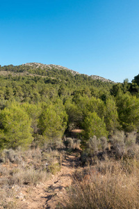 西班牙 Castellon 棕榈沙漠小径