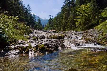 在高塔特拉山流