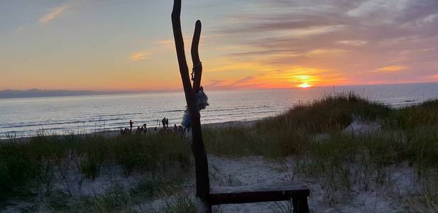 在波罗的海海滩上用树做的长凳