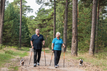 北欧行走愉快的老夫妇与狗在森林
