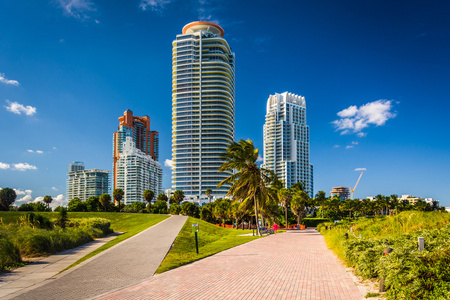 在南方普安特公园和在迈阿密海滩，佛罗里达州的摩天大楼走道