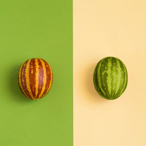 小瓜和西瓜与条纹皮肤的对比背景。混合动力, 选择的结果。最小的样式。植物神奇果实的食物概念