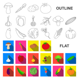 不同类型的蔬菜平面图标集合中的设计。蔬菜和维生素矢量符号股票网站插图