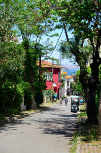 王子群岛 Buyukada 对普通街道的看法。美丽的蓝天白云, 绿树, 房子和大海。当地的乐园。土耳其