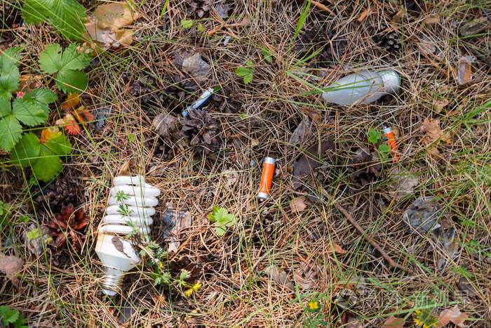 灯泡和电池-森林中的危险垃圾, 环境污染