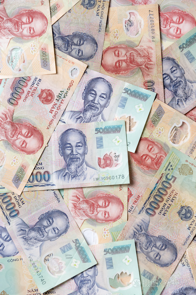 各种的越南货币