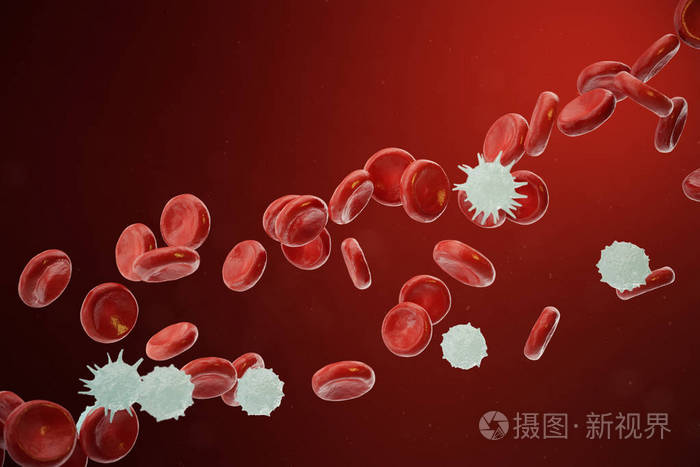 红细胞和白细胞释放中性粒细胞 嗜酸性细胞 嗜碱性细胞 淋巴细胞