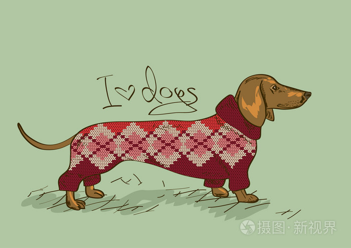 腊肠狗的插图