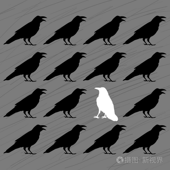 其中黑乌鸦白乌鸦