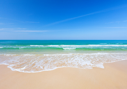 海滩和热带海