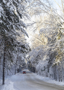 雪覆盖的道路，在冬季森林