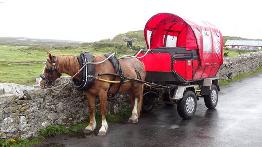 马和推车在爱尔兰县路