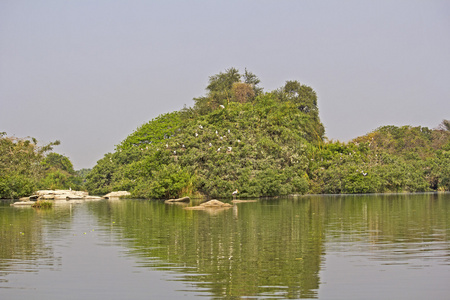 Ranganathittu 鸟类保护区