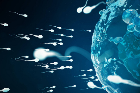 精子和卵细胞卵子本土和自然施肥特写视图。构想新生活的开始。医学概念3d插图