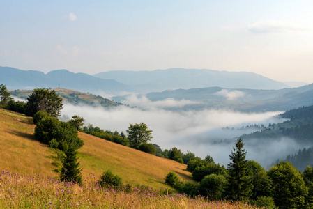 夏天的山上有雾的早晨