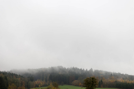 在有雾的11月天的景观与印度秋季的颜色在德国南部农村