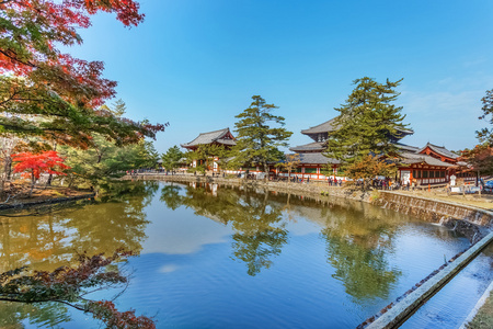 在奈良东大寺大佛殿