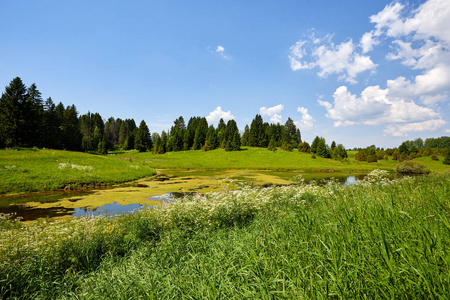 温暖美丽的夏季风景与湖泊和草地。绿意盎然蓝天背景的池塘