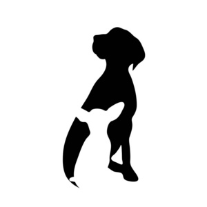 狗标志的向量剪影在白色背景