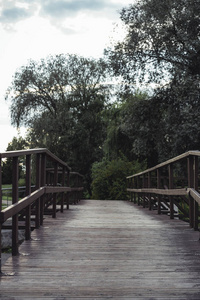 穆迪, 公园里的沃登大桥的黑暗照片, 森林不饱和, 文字空间, 中秋节
