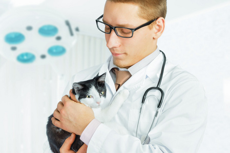 兽医在眼镜抱着只猫