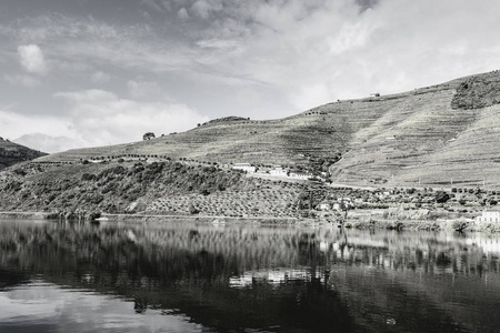 在葡萄牙河杜罗河地区的葡萄园和橄榄树林中旅行。葡萄栽培在葡萄牙村庄。黑白照片