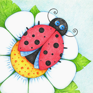 用彩色铅笔绘制花上的瓢虫图片