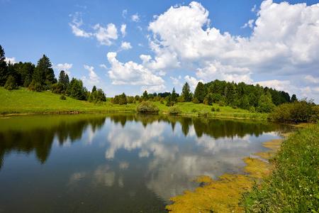 温暖美丽的夏季风景与湖泊和草地。绿意盎然蓝天背景的池塘