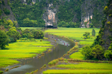 旅游观光船旅游观光看到稻田在河 非政府组织董 在 Tamcoc, 瑟纳姆, 越南