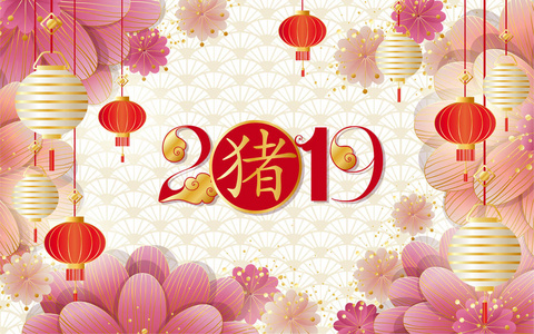 中国新年贺卡和灯笼和鲜花。猪的年份问候背景