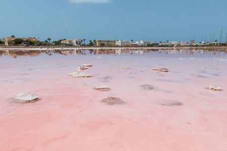 西班牙福门特拉岛大萨利内斯的粉红色彩色水镜像
