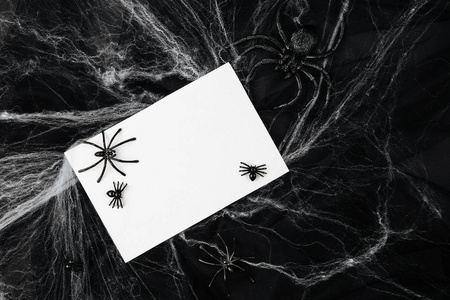 空白卡片与蜘蛛和网在黑背景下