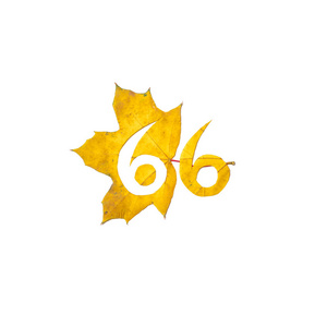 秋天的数字。数字6是从一个美丽的黄色枫叶在白色背景雕刻。在工作表上, 信函的字母模式