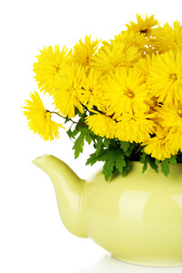黄色的花朵，在茶壶