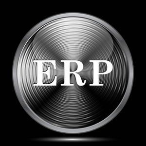 erp 图标