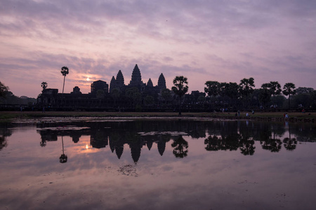 柬埔寨一座古老的寺庙, 满是计划和树木的生长