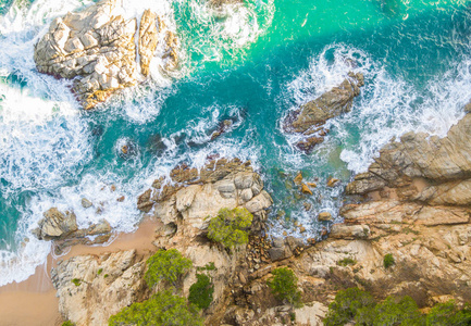 加泰罗尼亚布拉瓦海岸的鸟图。西班牙充满岩石和海浪的海滩