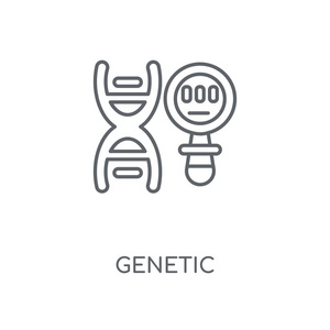遗传线性图标。遗传概念笔画符号设计。薄的图形元素向量例证, 在白色背景上的轮廓样式, eps 10