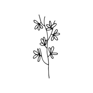 植物小枝与叶子茎图标。被隔绝的素描