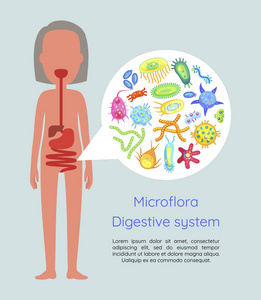 菌群消化系统载体示意图