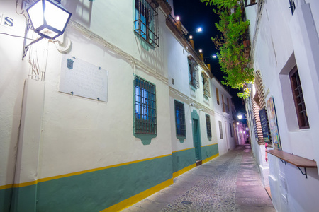 典型的漂亮干净的城市街道科尔多瓦西班牙