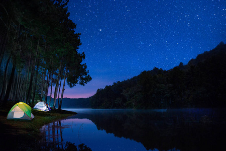 在庞松树林森林与自然的夜野营景观, 梅洪子, 泰国, 亚洲
