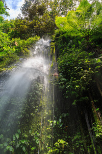 在阳光明媚的日子, 印度尼西亚岛上的纱网瀑布
