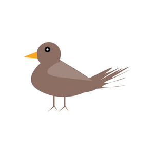 鸟类图标矢量隔离在白色背景为您的 web 和移动应用程序设计, 鸟标志概念