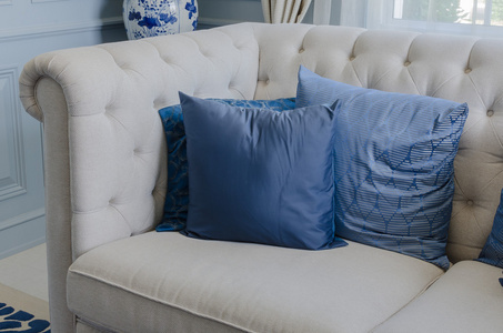 蓝白色在豪华的客厅里在家里的沙发上的枕头
