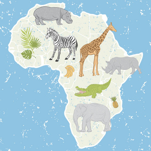 设置与可爱的非洲动物