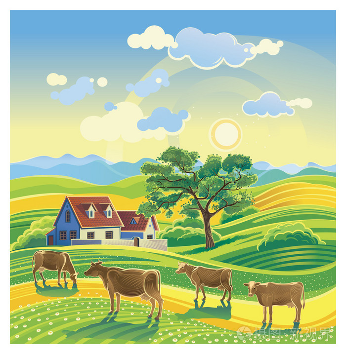 农村夏天风景和奶牛
