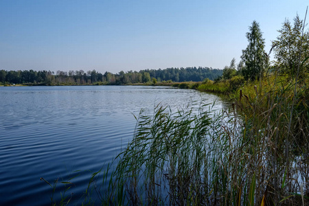 乡村的湖泊或河流清澈的水中的自然倒影。秋季颜色